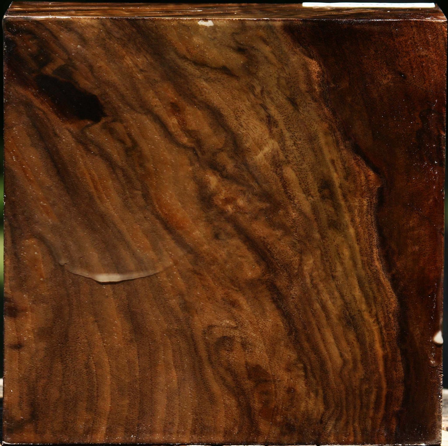 Claro Walnut Bowl Blank