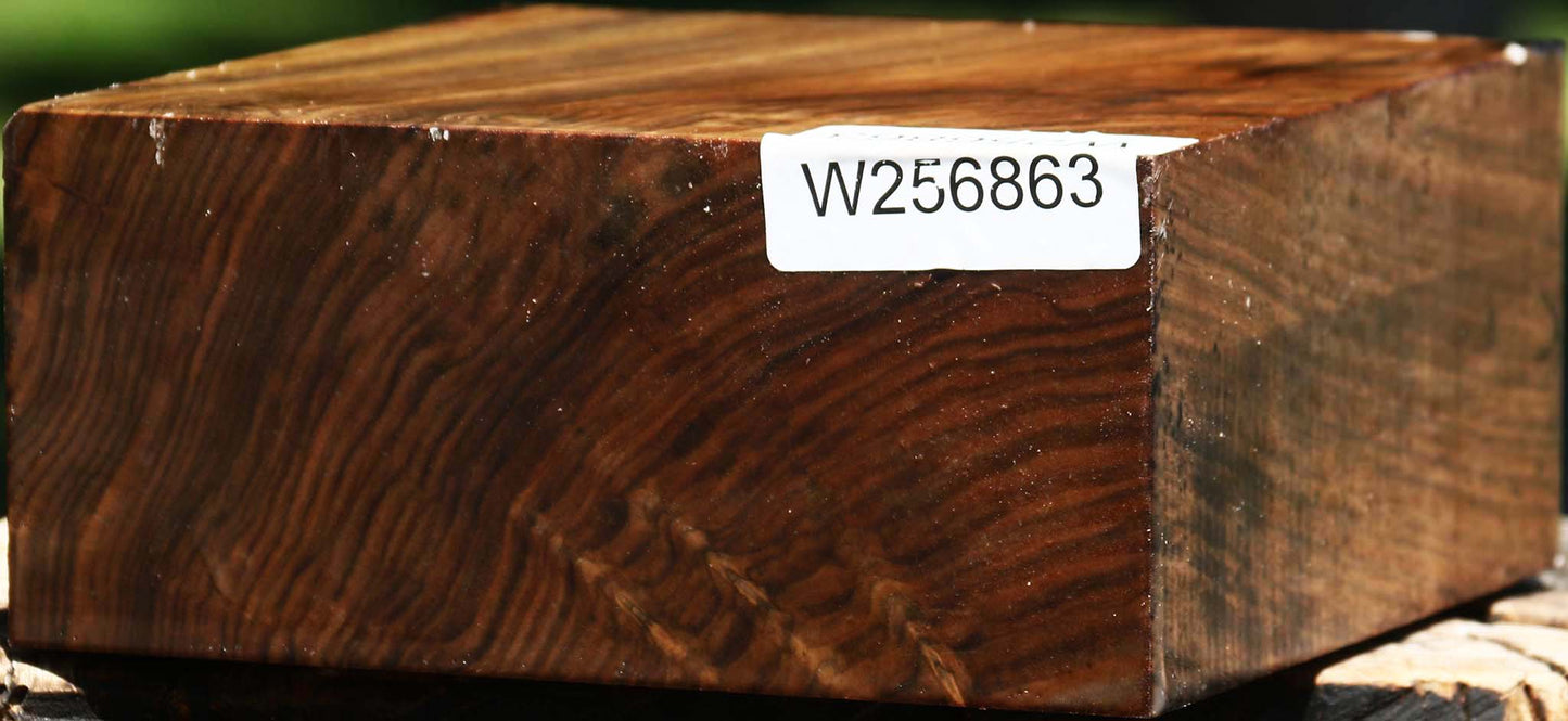 Claro Walnut Bowl Blank