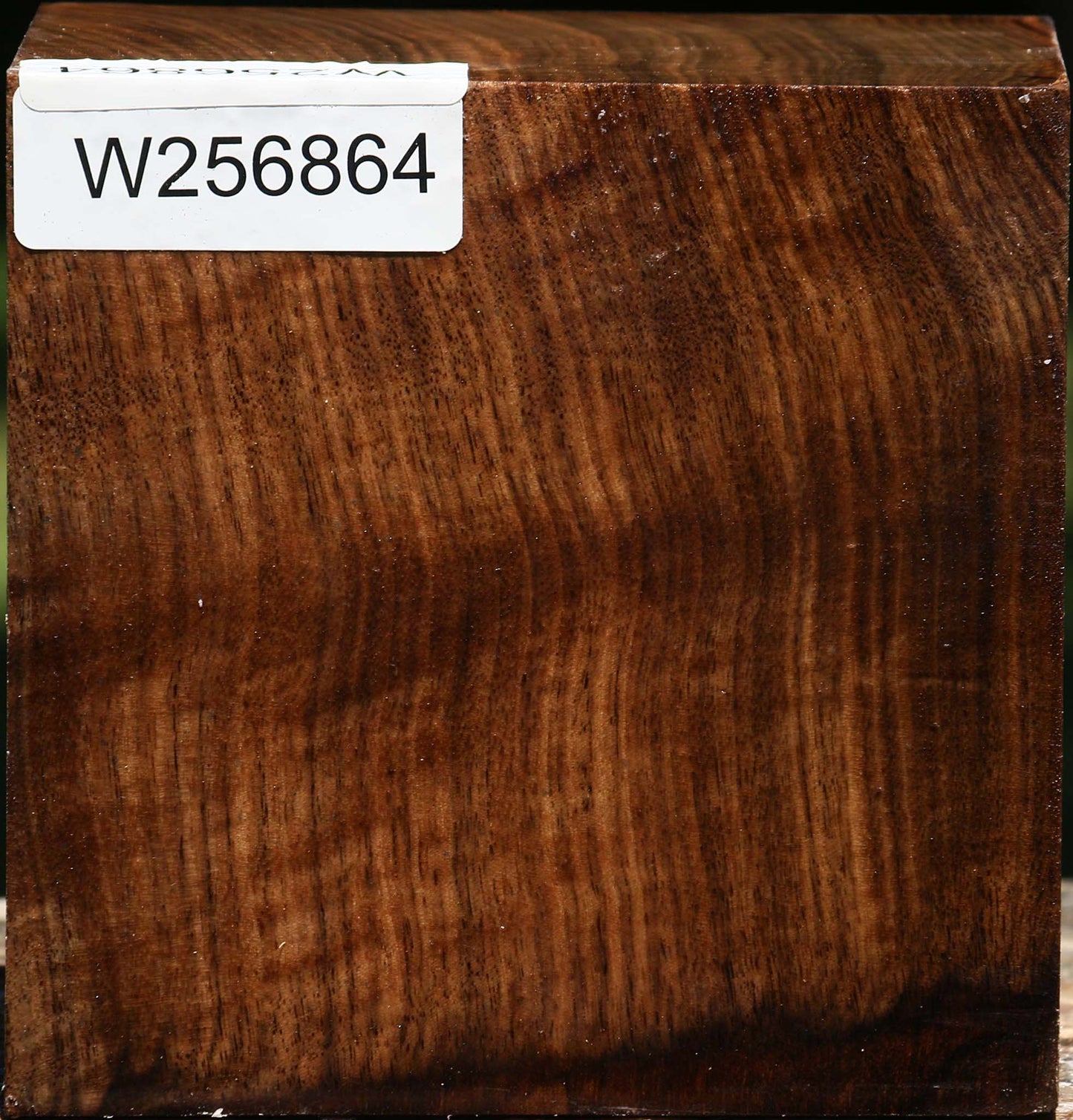 Claro Walnut Bowl Blank