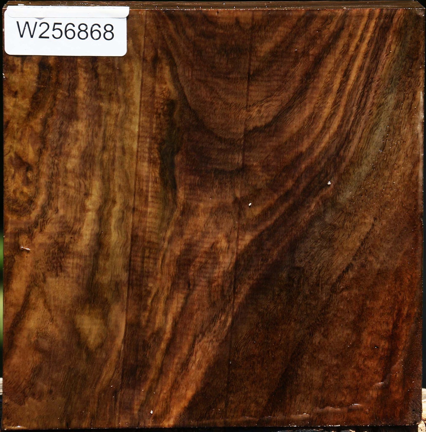 Figured Claro Walnut Bowl Blank