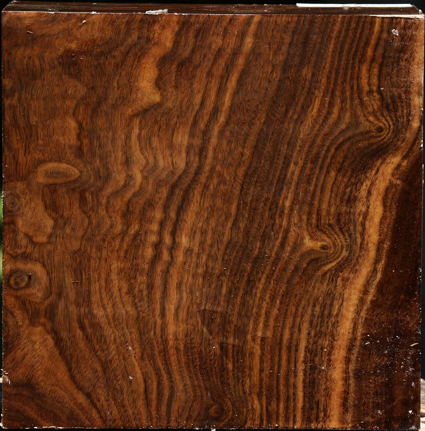 Figured Claro Walnut Bowl Blank