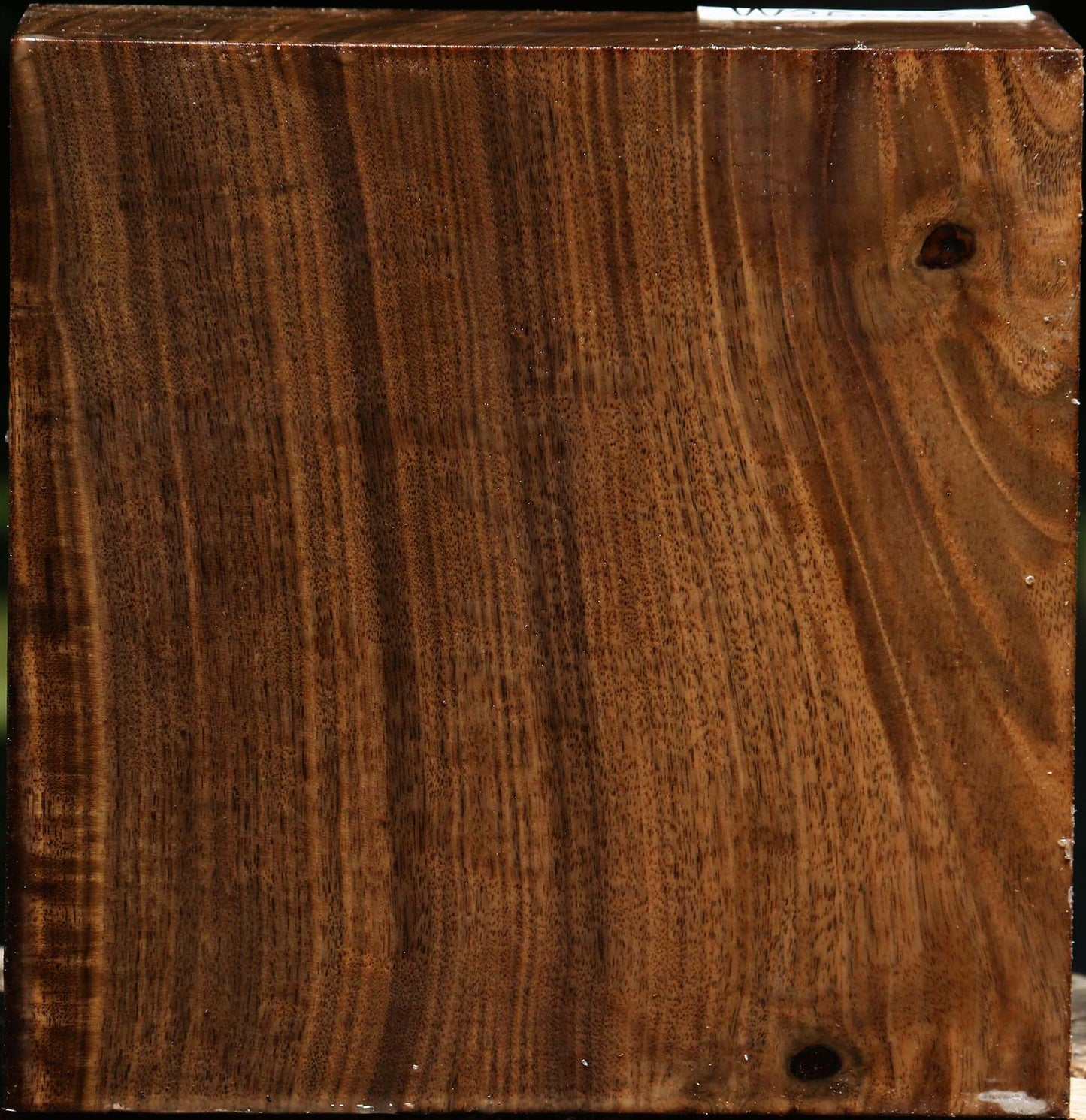Claro Walnut Bowl Blank