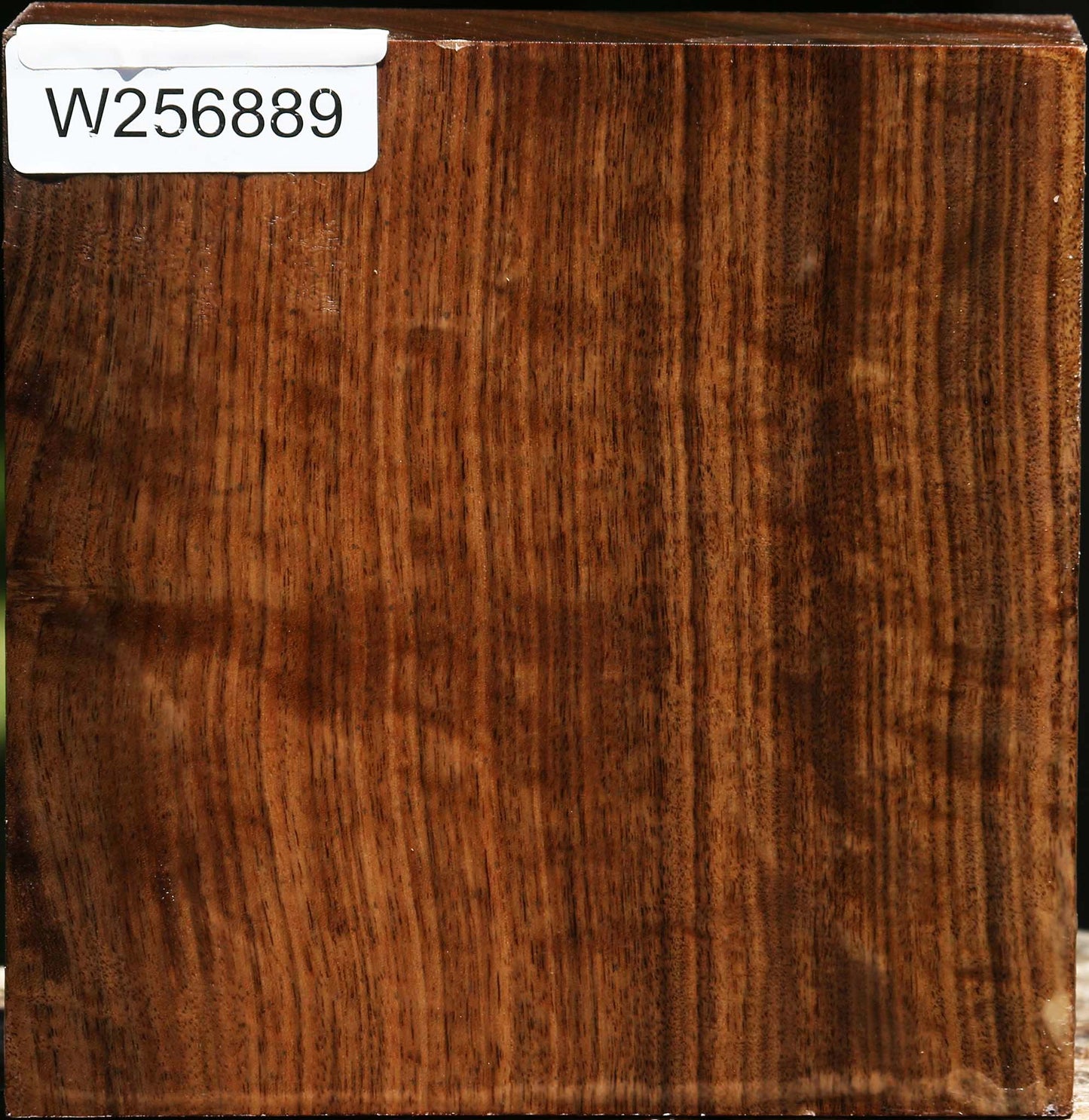 Claro Walnut Bowl Blank
