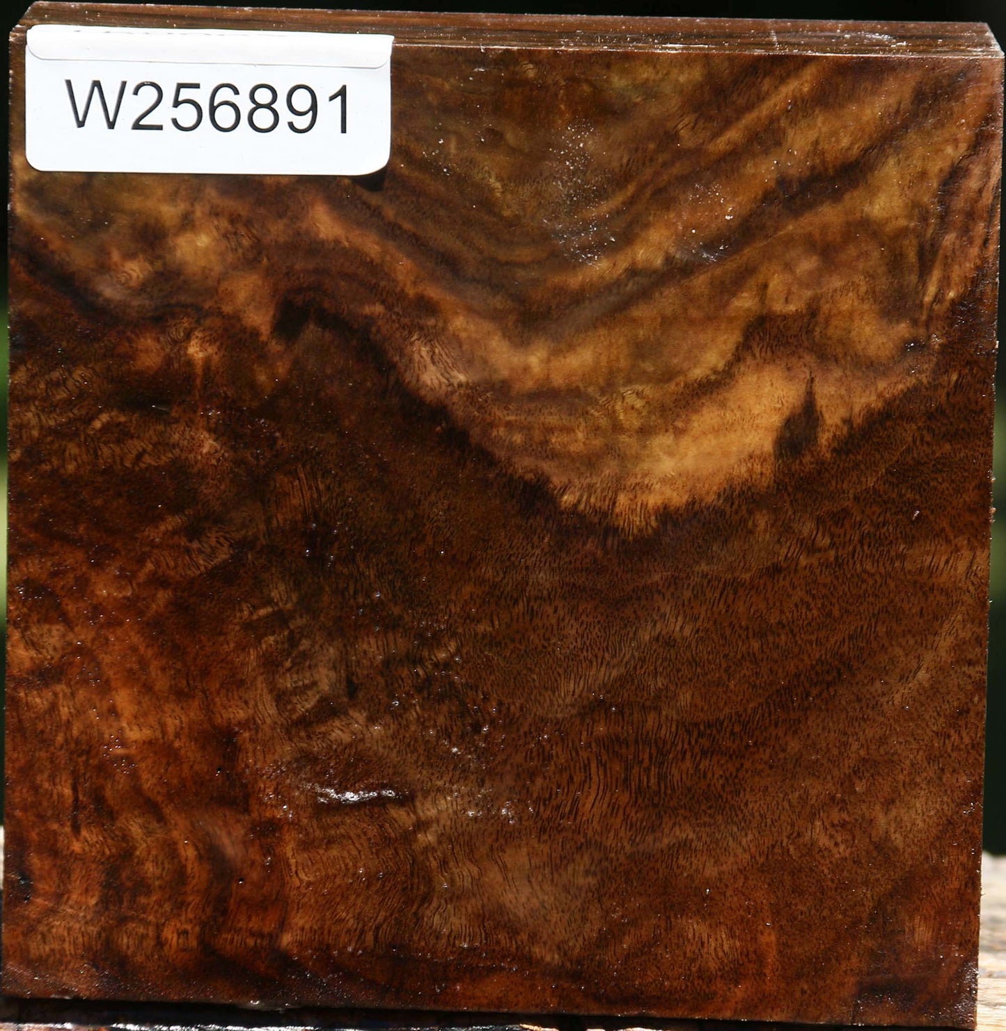 Figured Claro Walnut Bowl Blank