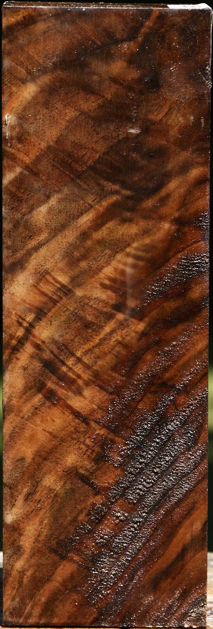 Extra Fancy Crotchwood Claro Walnut Vessel Blank