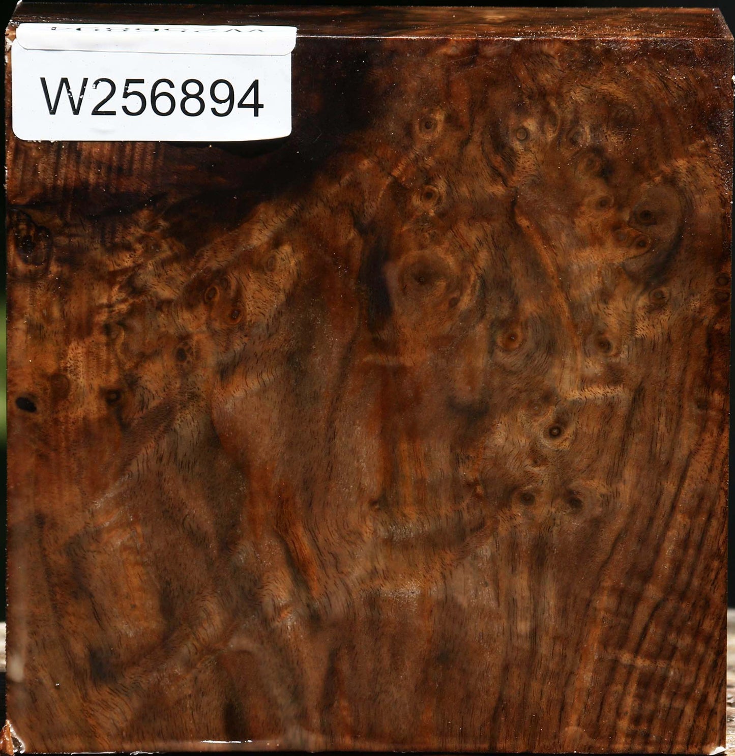 Figured Claro Walnut Bowl Blank