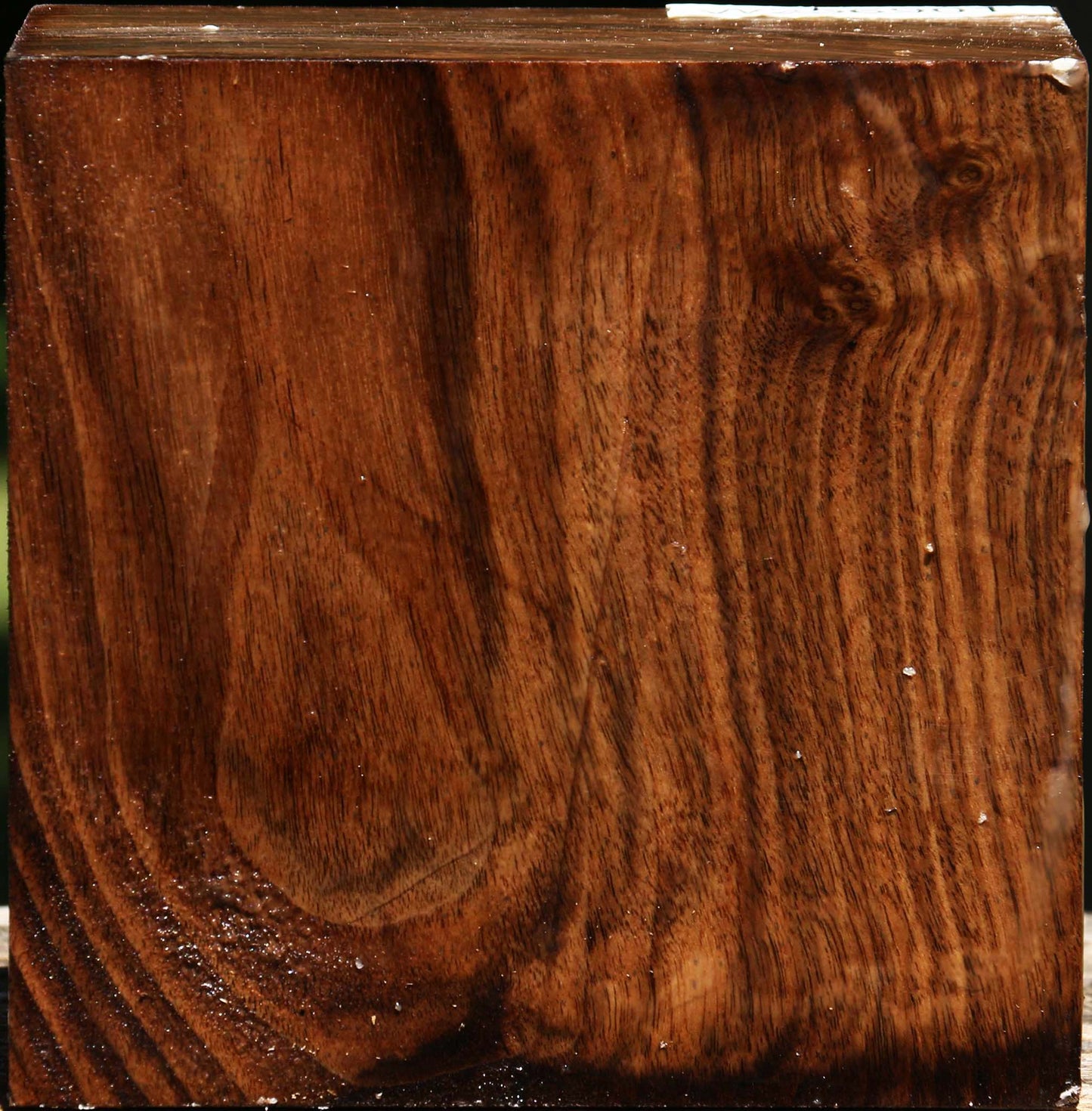 Claro Walnut Bowl Blank