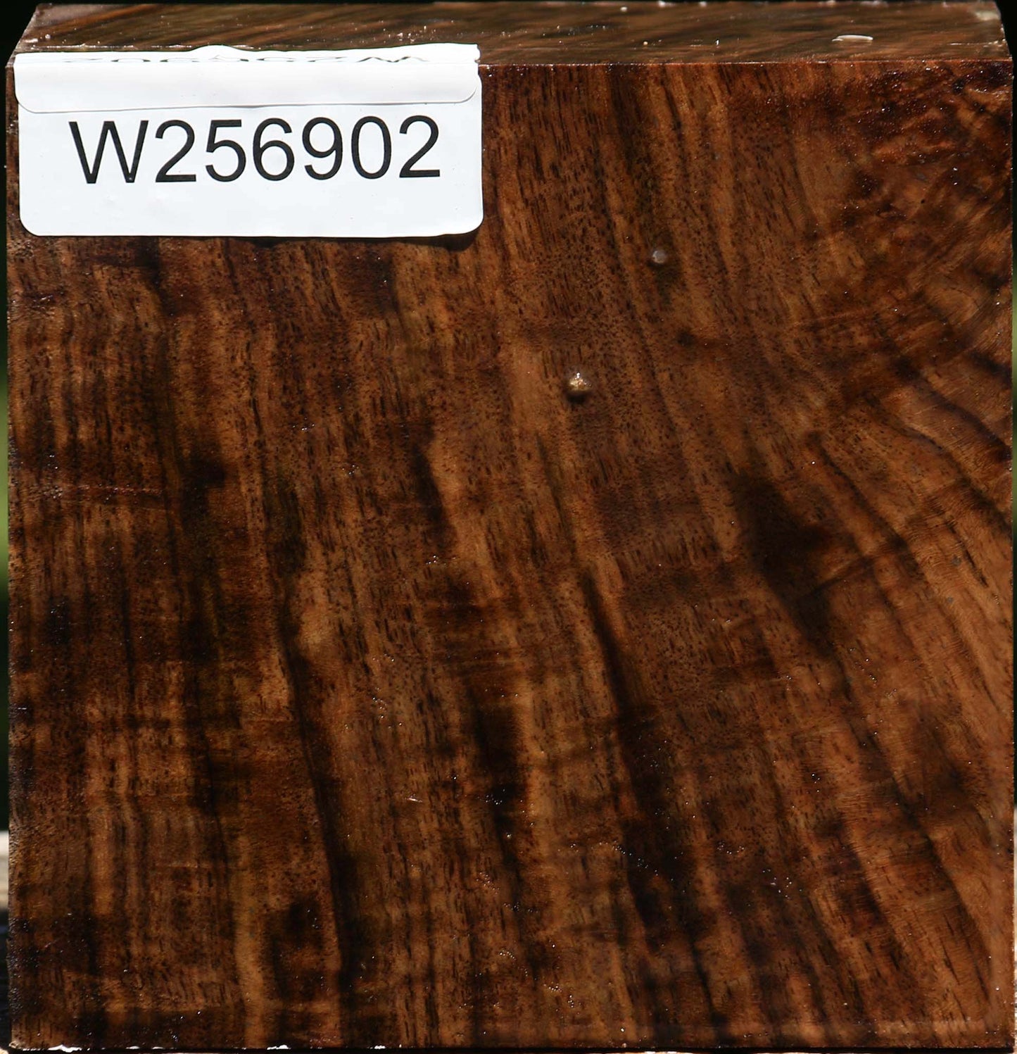 Extra Fancy Claro Walnut Bowl Blank
