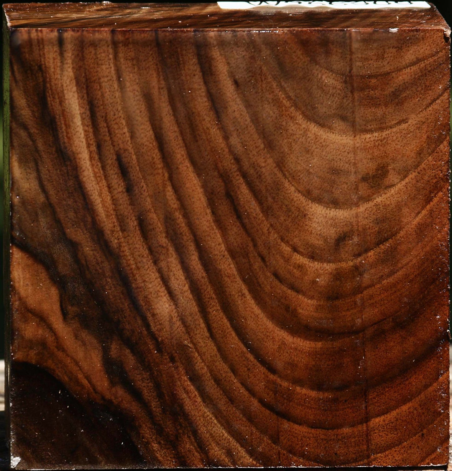 Figured Claro Walnut Bowl Blank