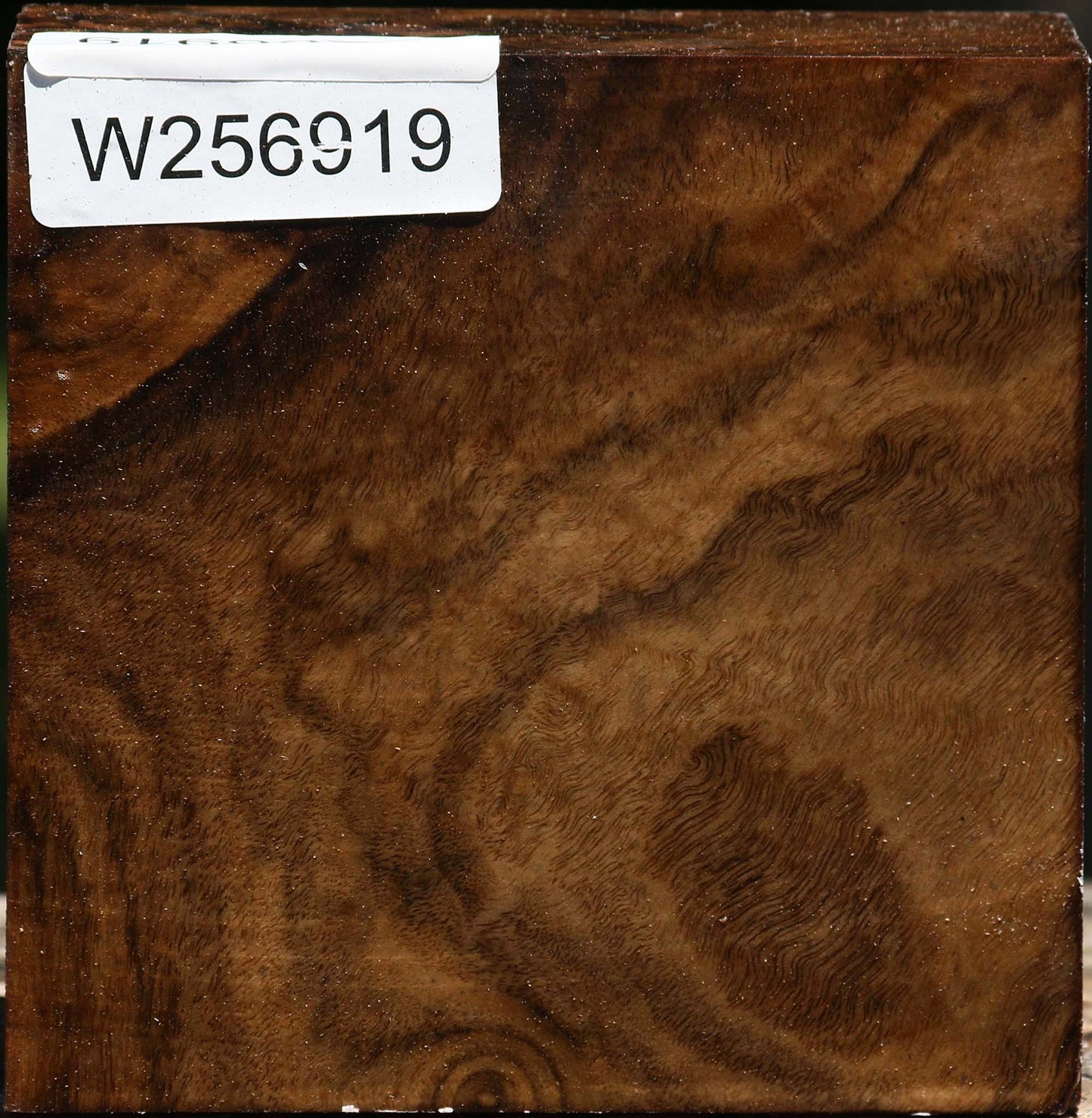 Claro Walnut Bowl Blank