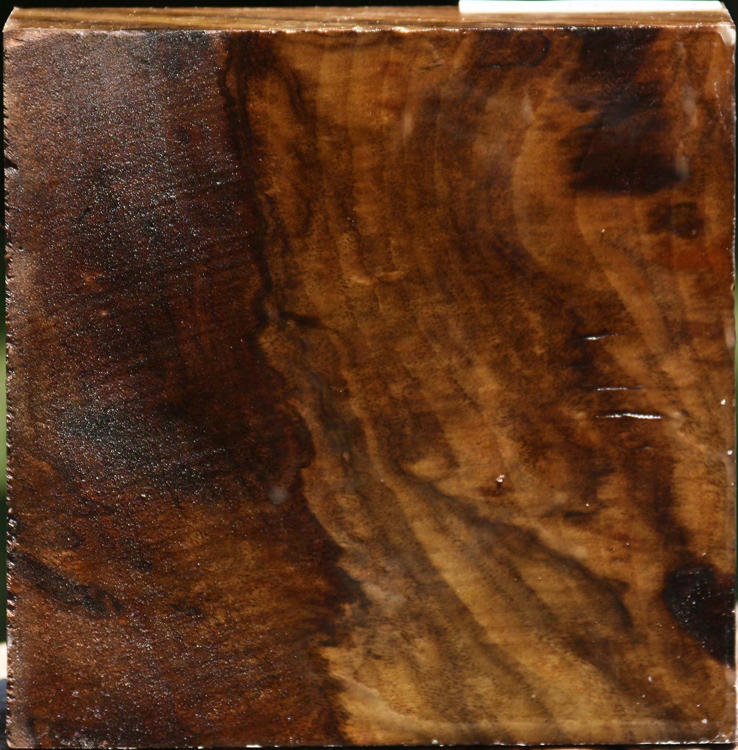 Claro Walnut Bowl Blank