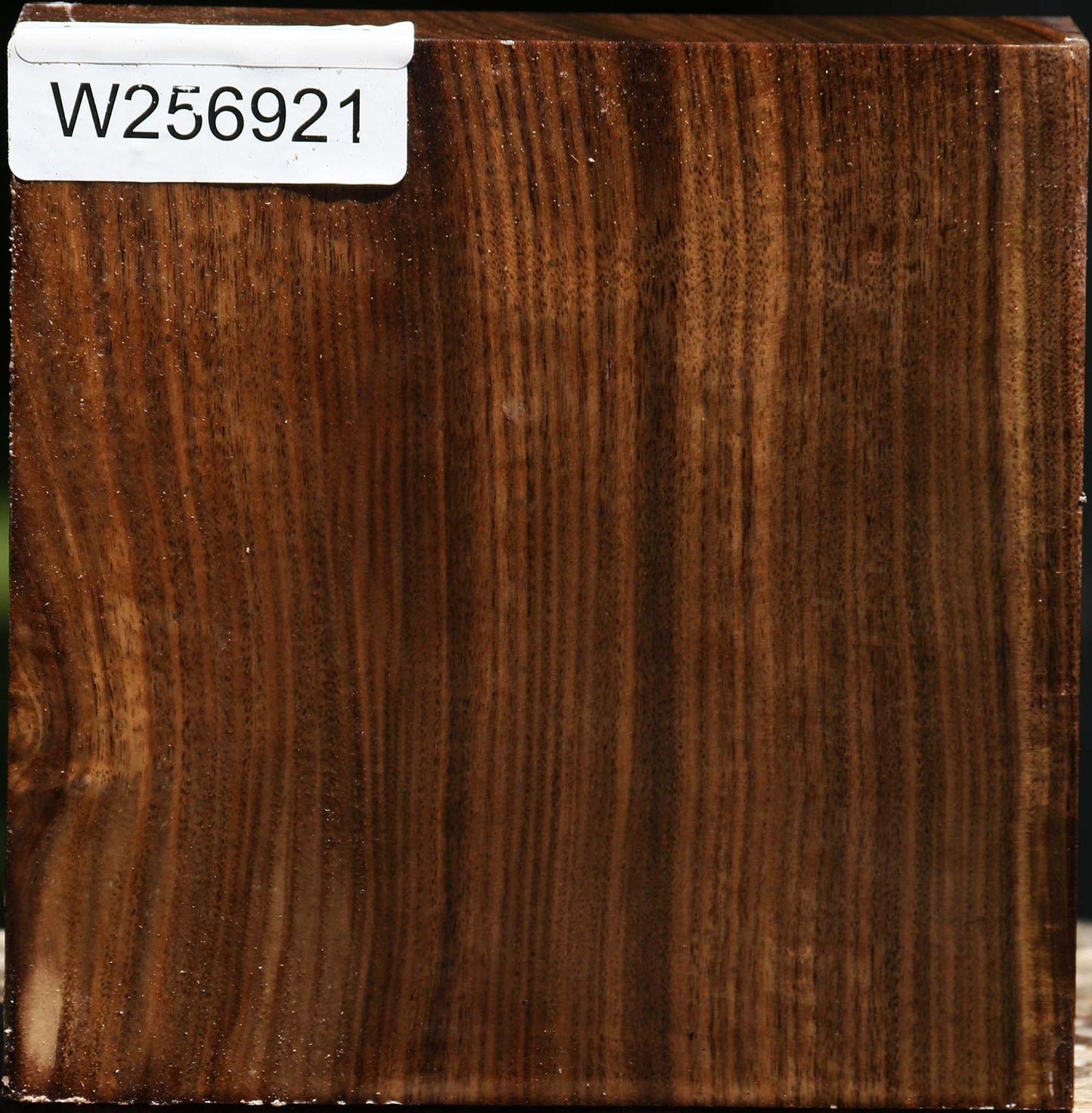 Claro Walnut Bowl Blank
