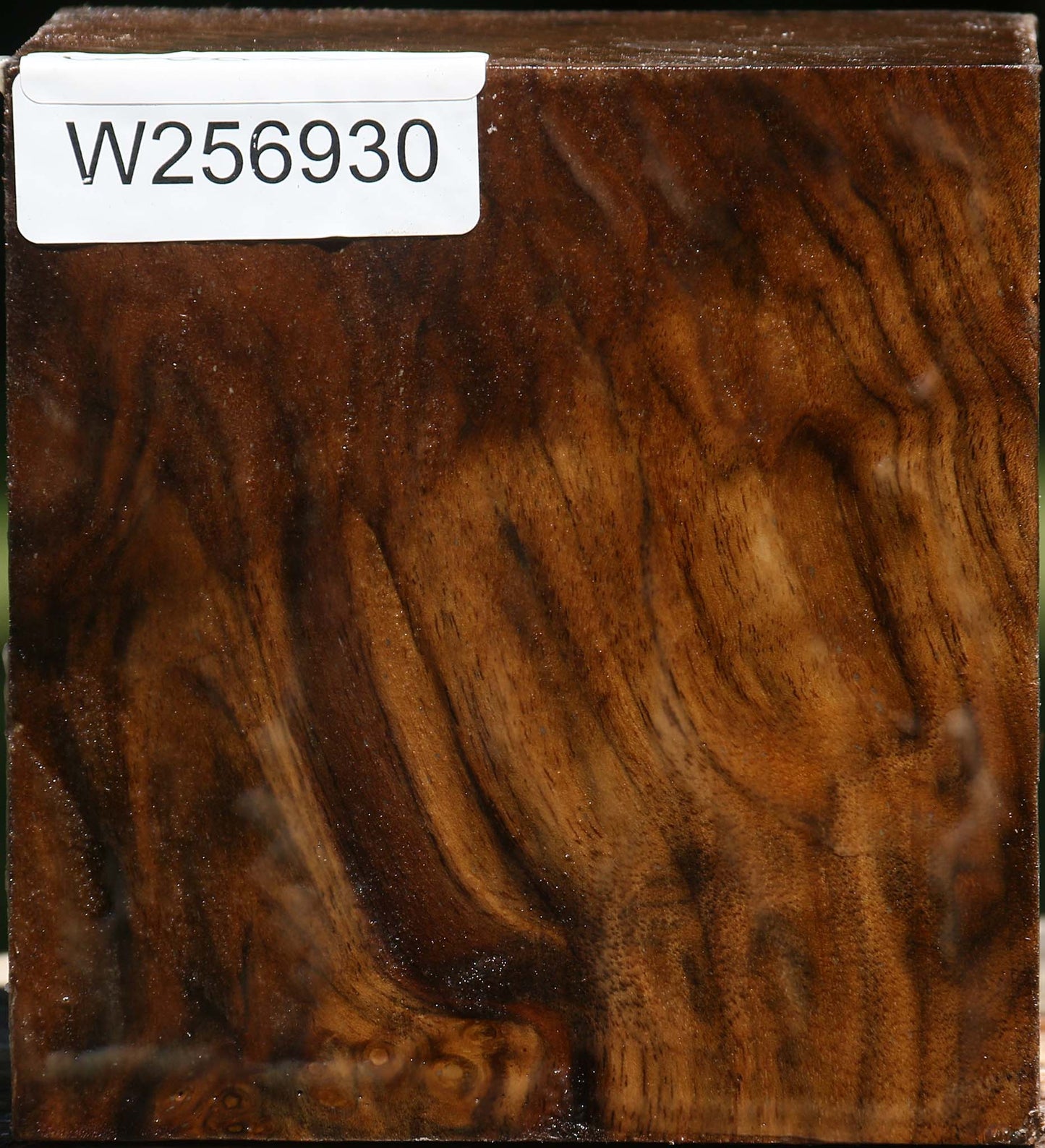 Figured Claro Walnut Bowl Blank