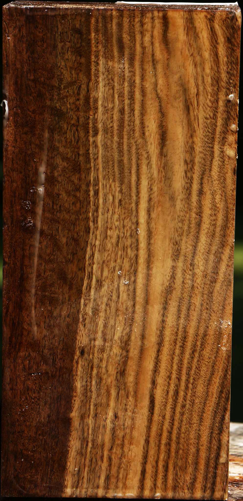 Claro Walnut Vessel Blank