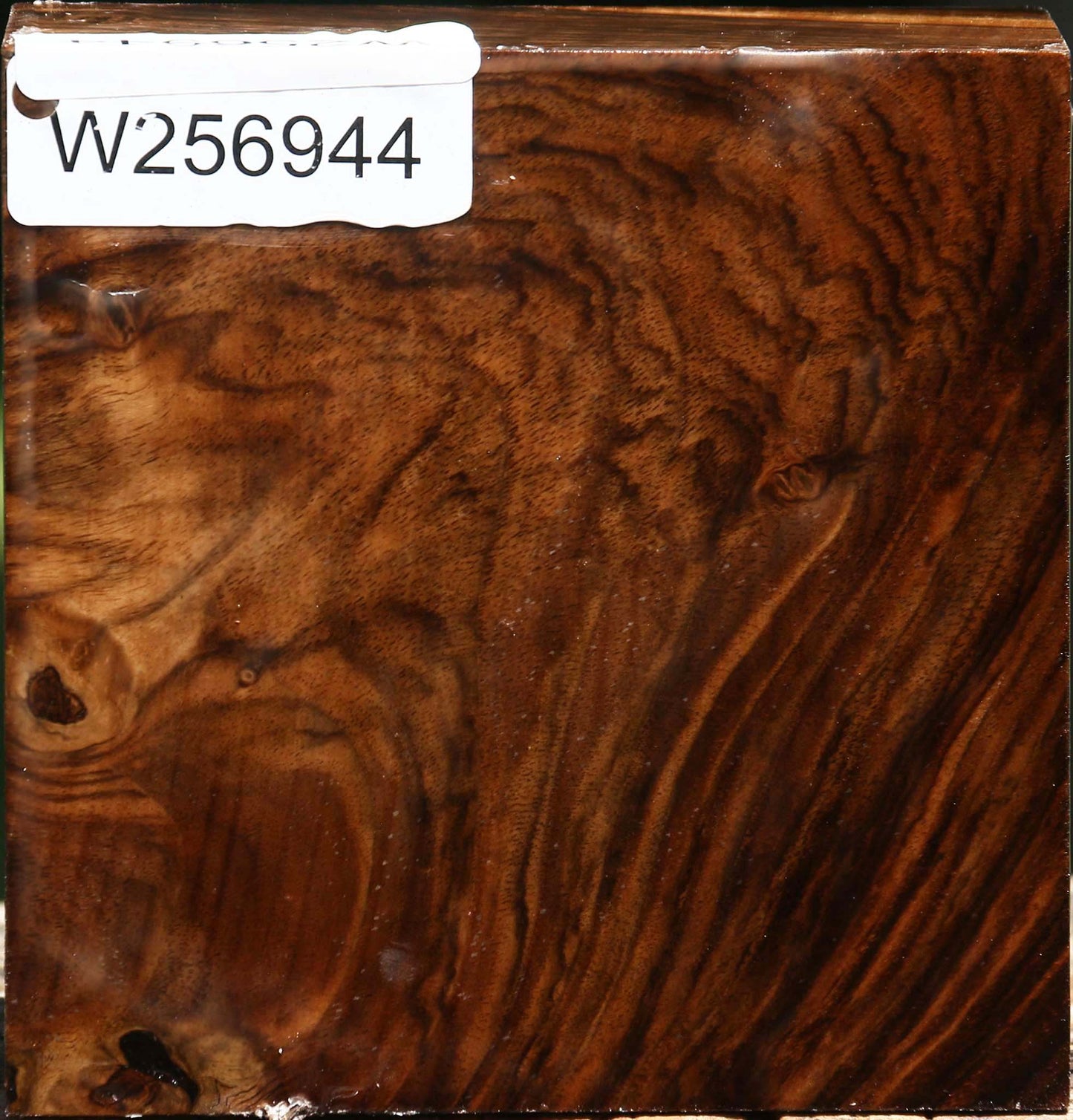 Extra Fancy Claro Walnut Bowl Blank