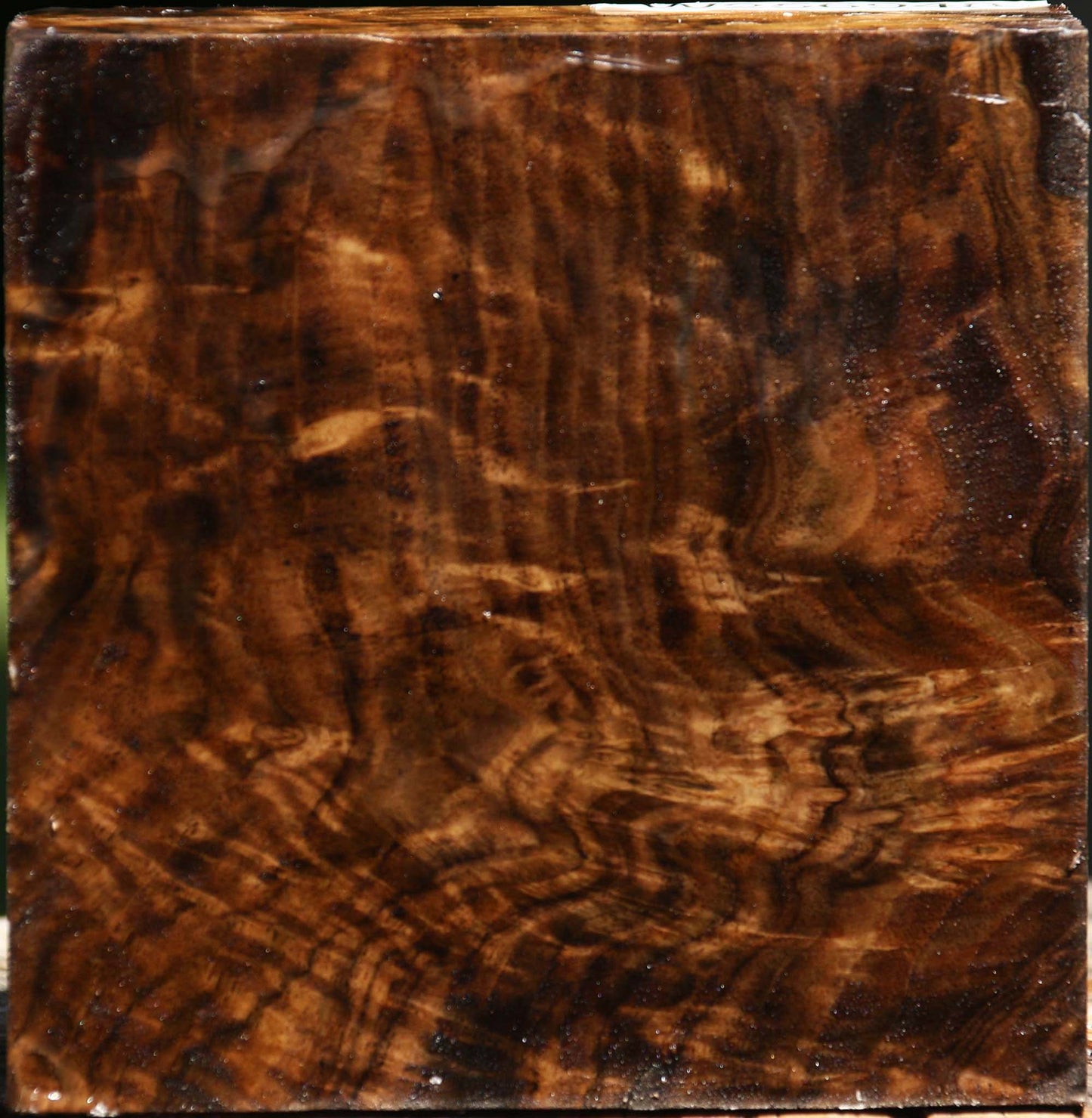 Extra Fancy Claro Walnut Bowl Blank