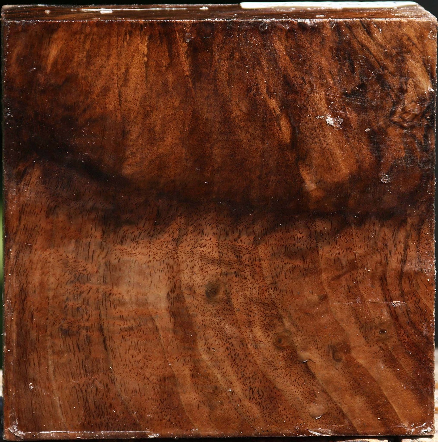 Grafted Claro/English Walnut Bowl Blank