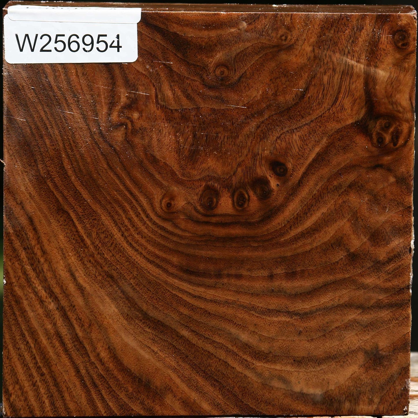 Figured Claro Walnut Bowl Blank