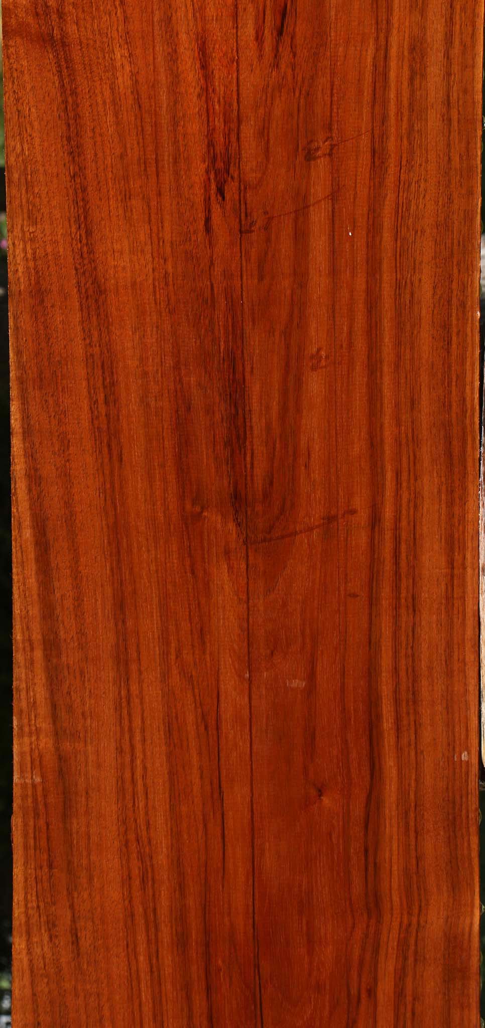 Tzalam Lumber