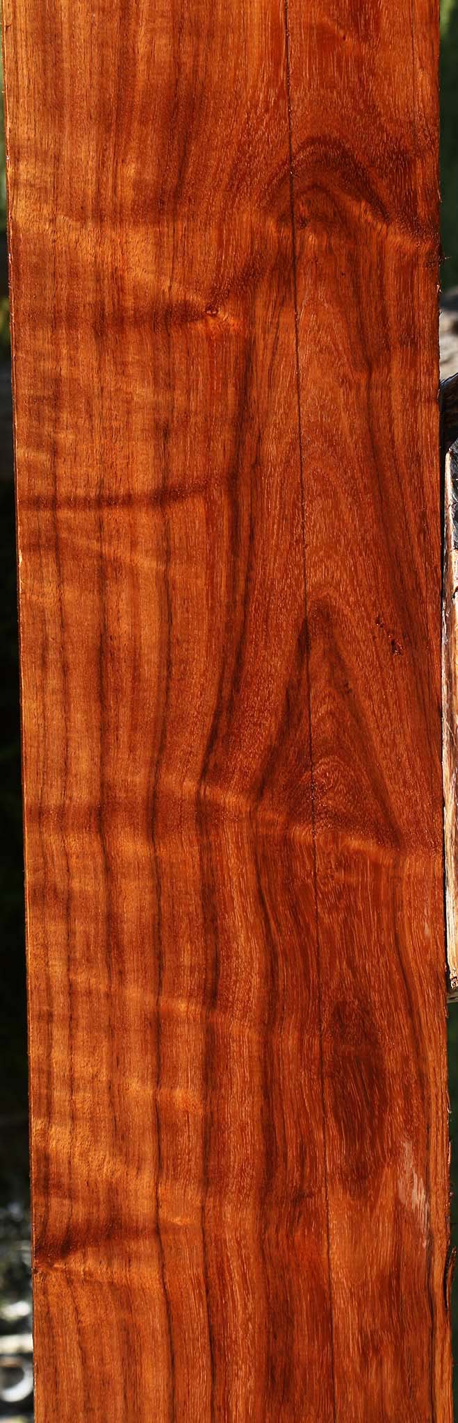 Extra Fancy Tzalam Lumber