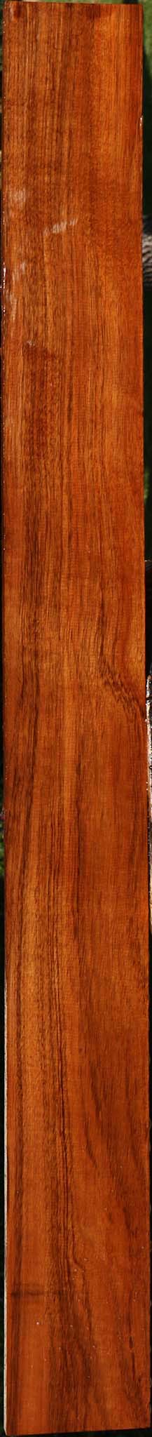 Tzalam Lumber