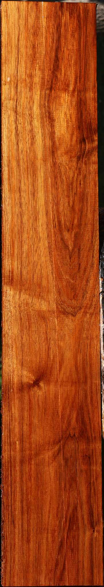 Figured Tzalam Lumber