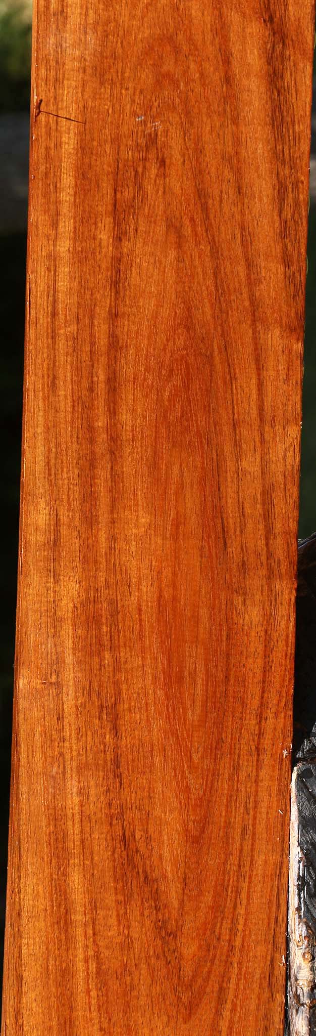 Figured Tzalam Lumber