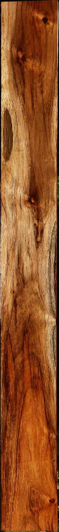 Figured Rustic Tzalam Lumber
