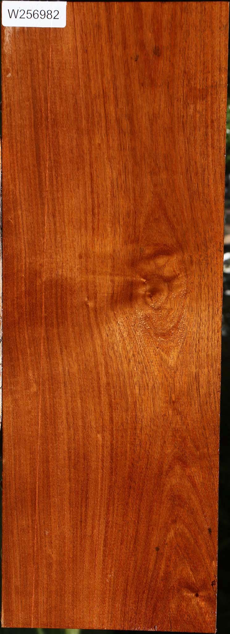 Tzalam Lumber