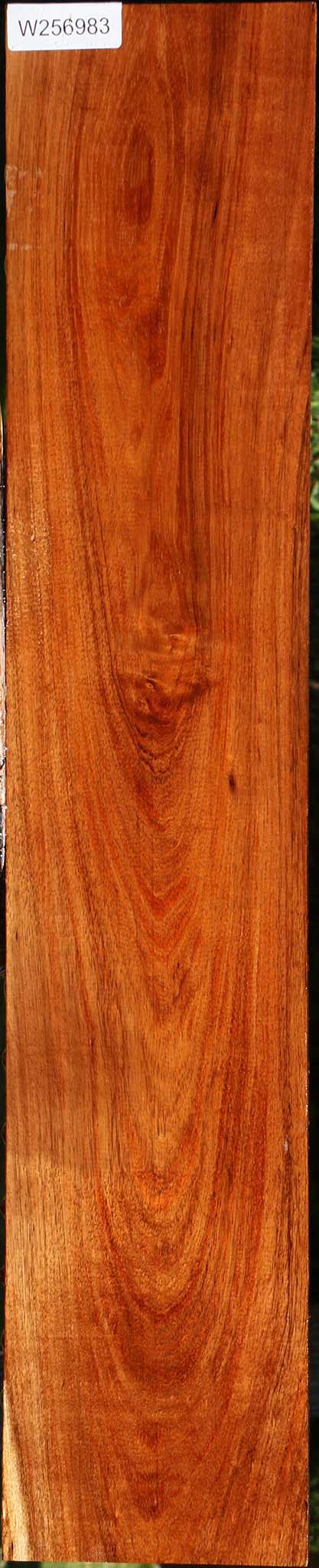 Tzalam Lumber