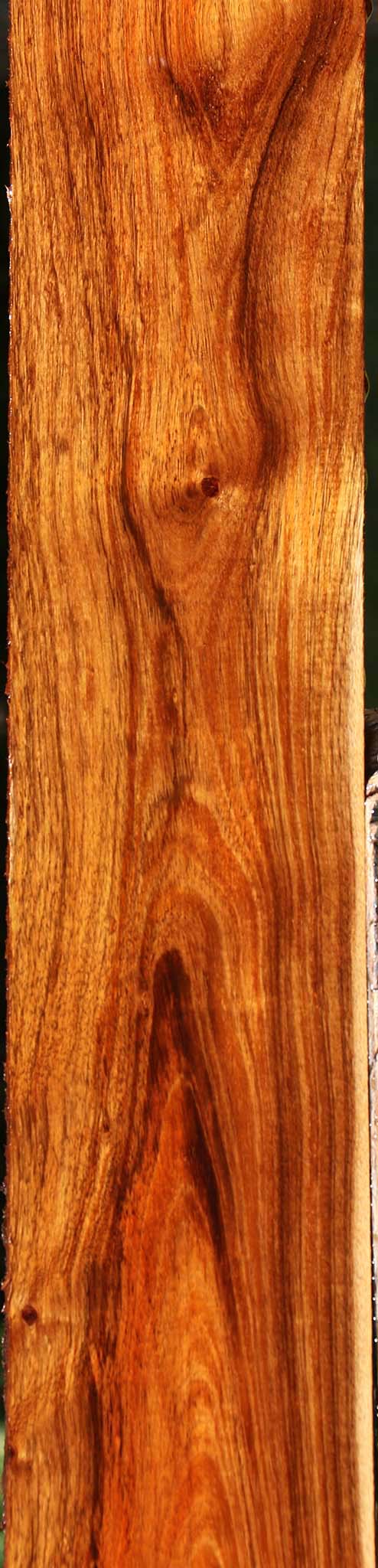 Figured Tzalam Lumber