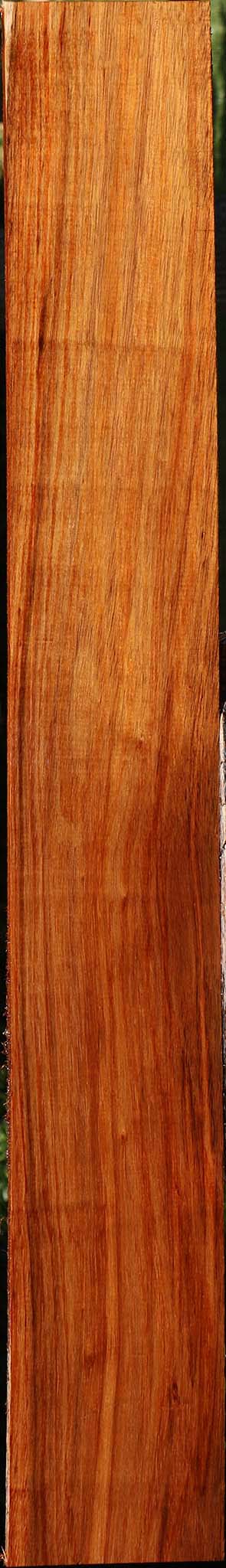 Tzalam Lumber