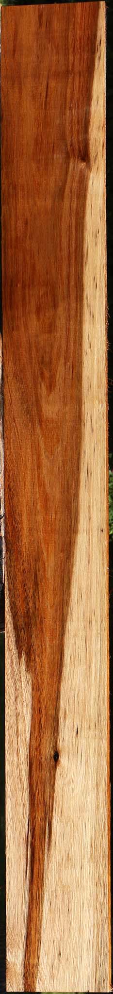 Tzalam Lumber