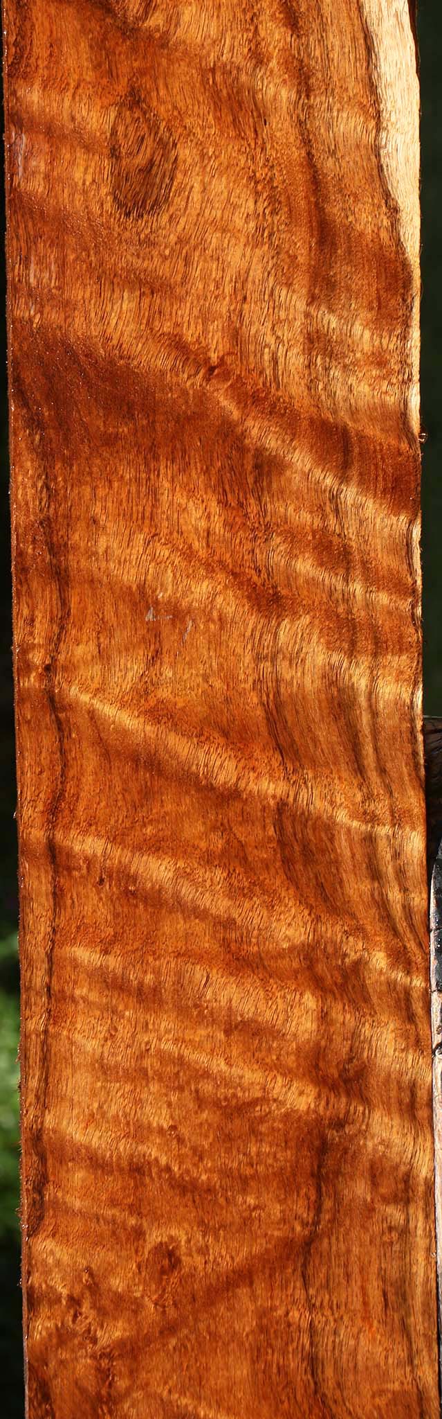 Extra Fancy Tzalam Lumber