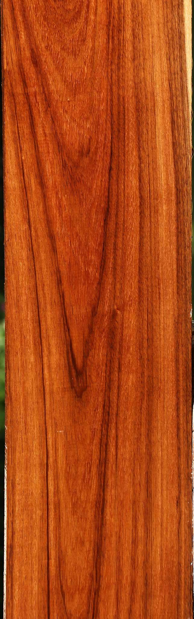 Tzalam Lumber