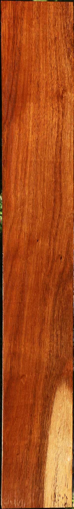 Tzalam Lumber