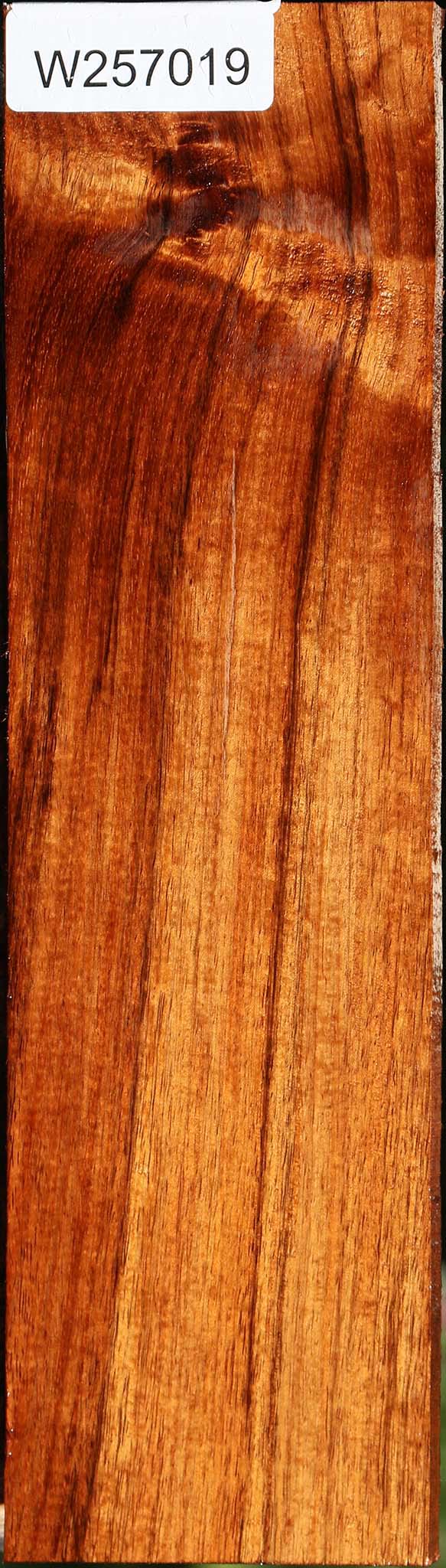 Tzalam Lumber