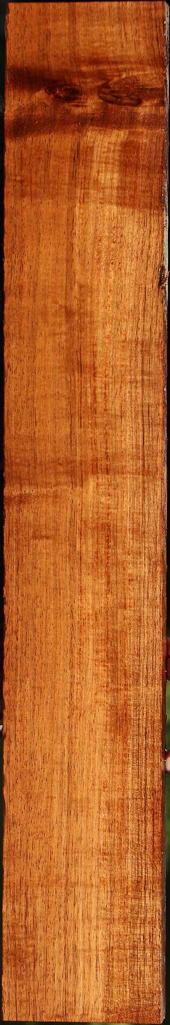 Extra Fancy Tzalam Lumber