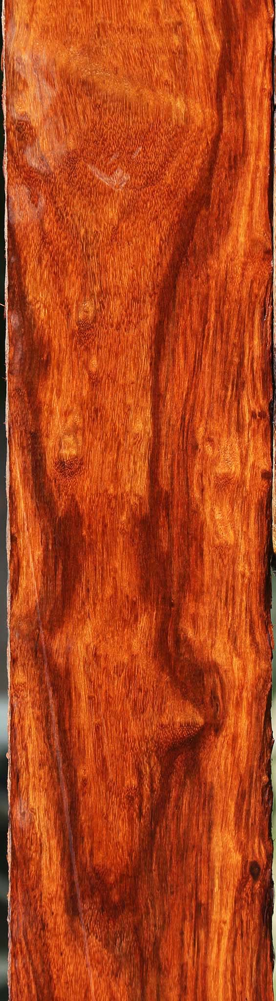 Extra Fancy Granadillo Lumber