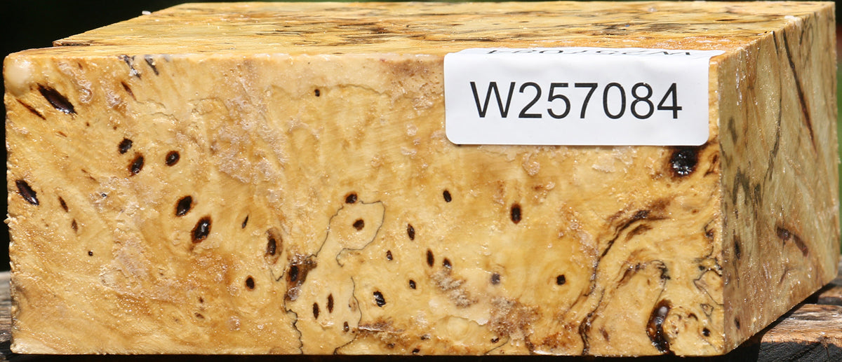 Buckeye Burl Bowl Blank