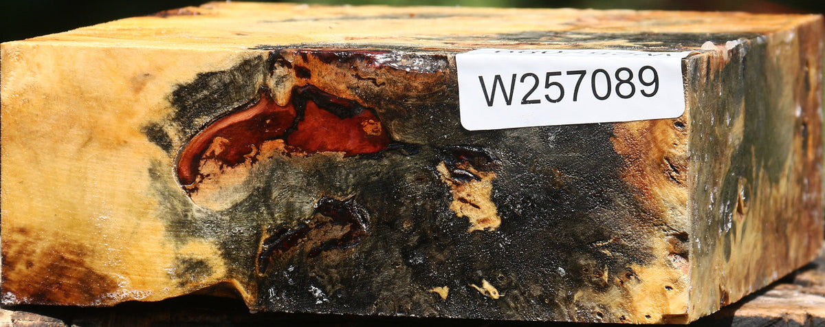 Buckeye Burl Bowl Blank