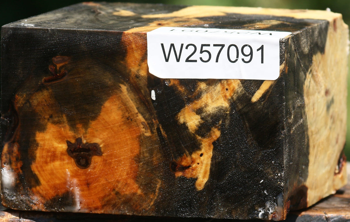 Buckeye Burl Bowl Blank