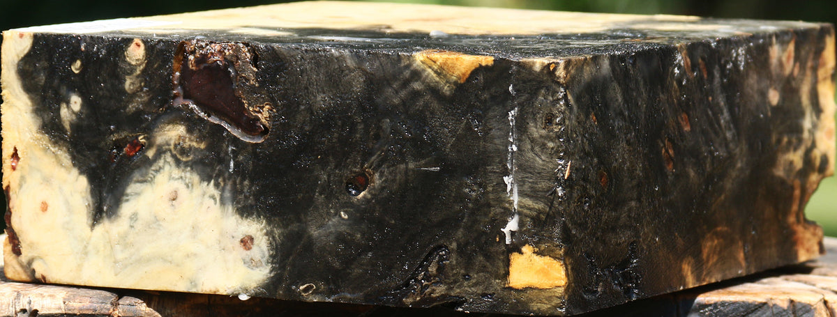 Buckeye Burl Bowl Blank