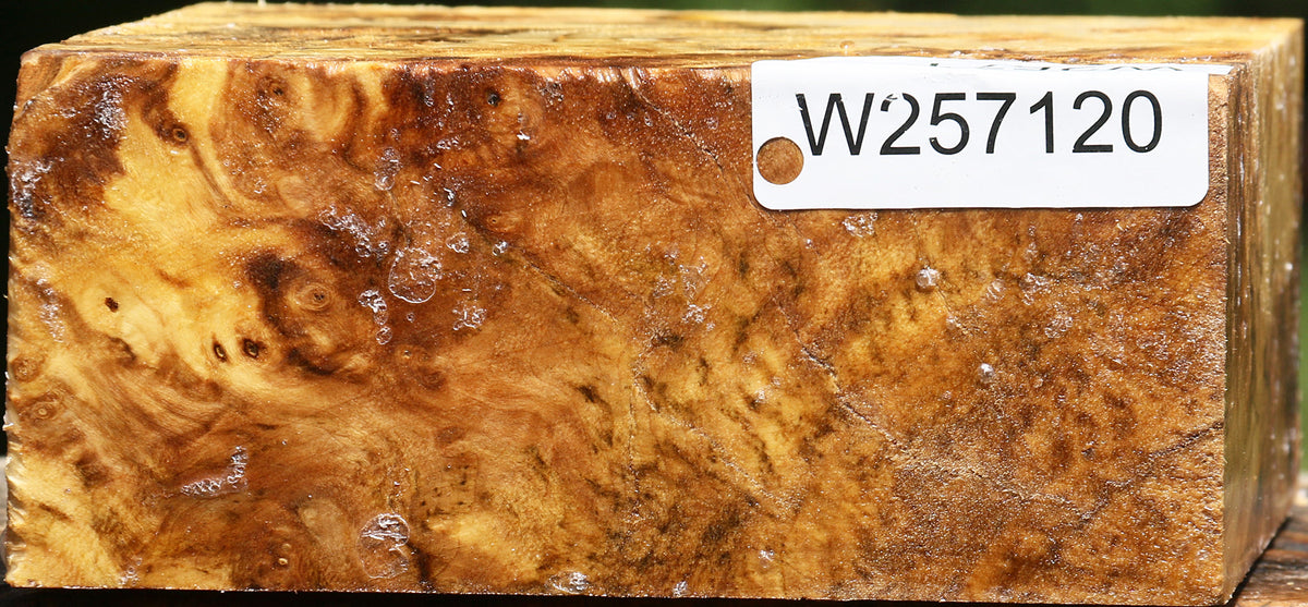 Buckeye Burl Bowl Blank