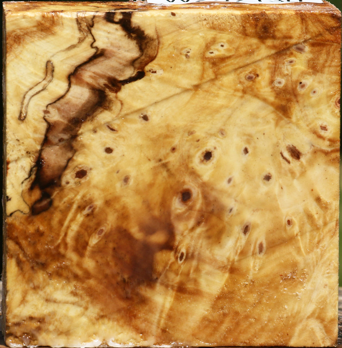 Buckeye Burl Bowl Blank