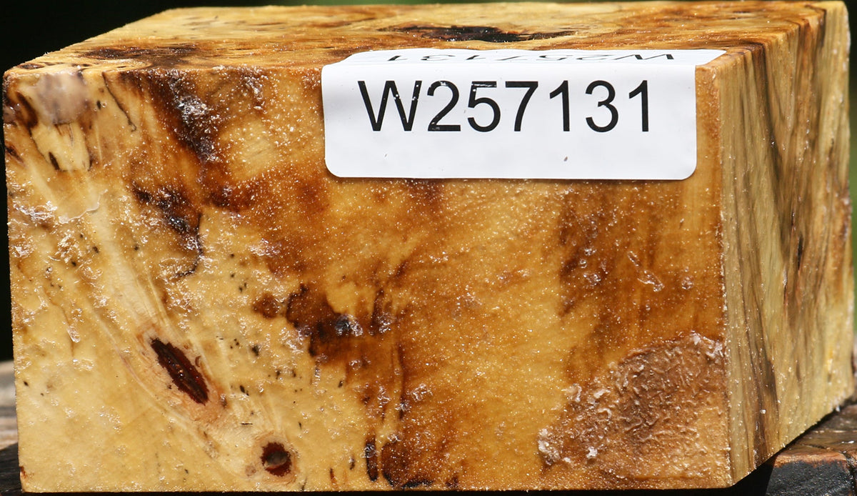 Buckeye Burl Bowl Blank