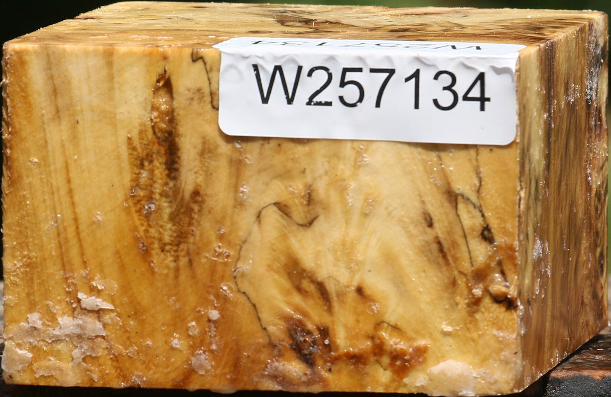 Buckeye Burl Bowl Blank