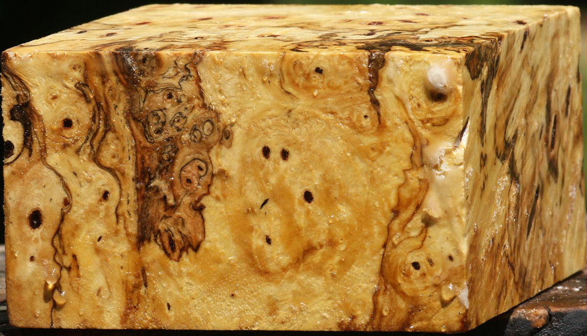 Buckeye Burl Bowl Blank