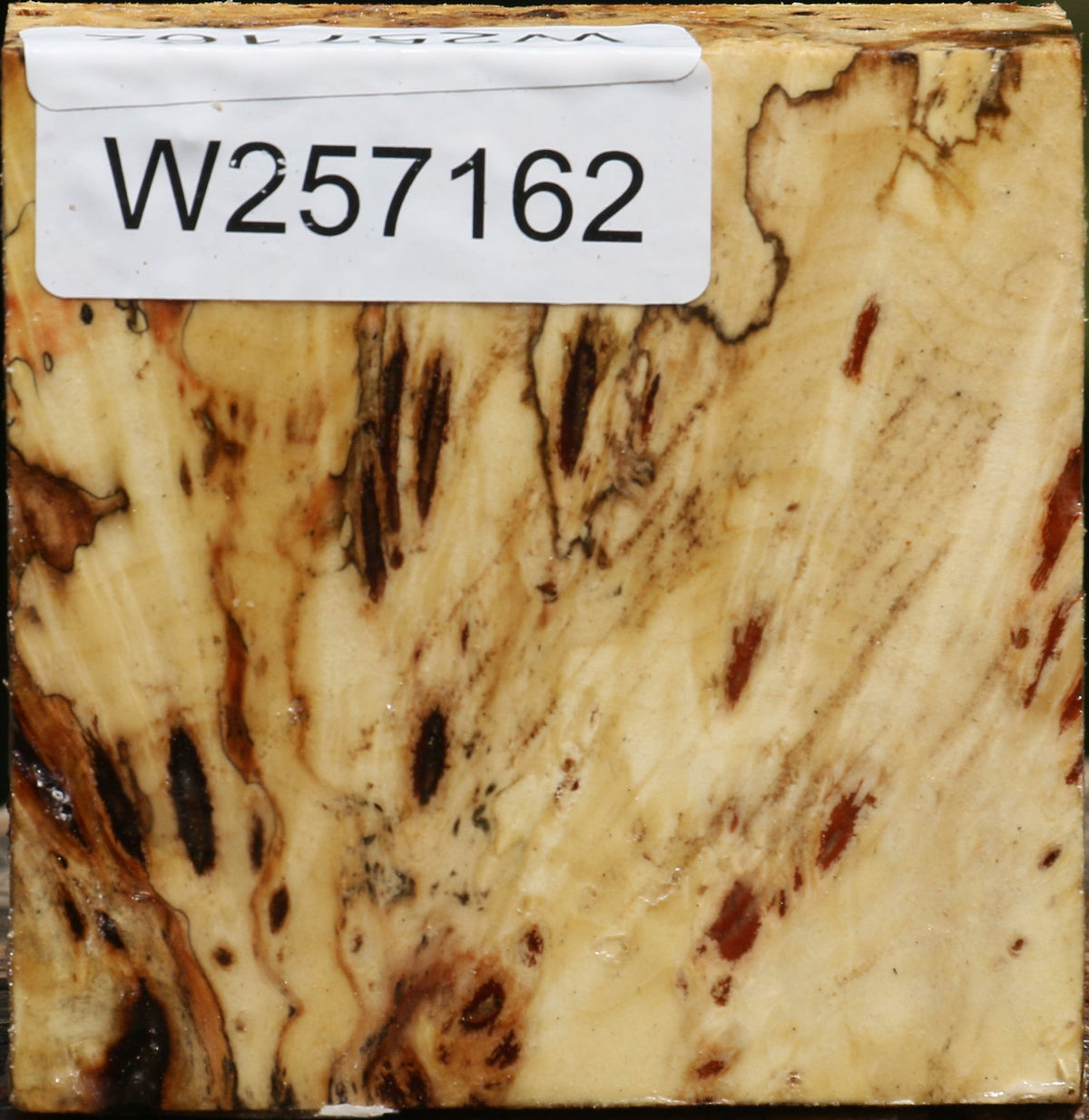 Buckeye Burl Bowl Blank