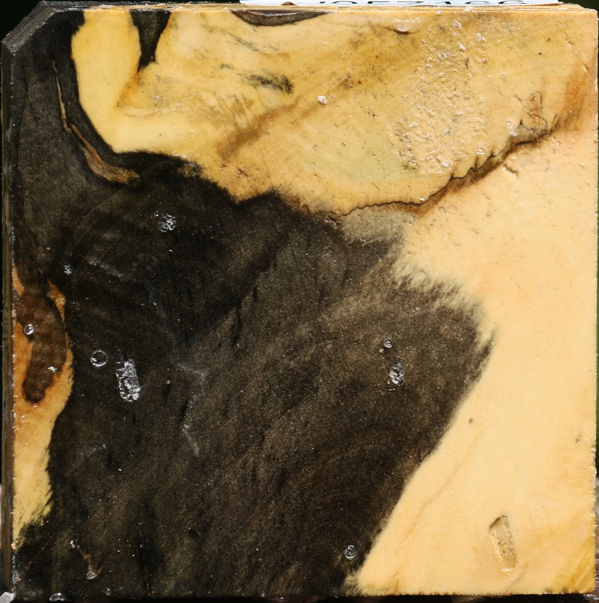 Buckeye Burl Bowl Blank